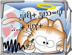 El cuaderno de Schrödinger